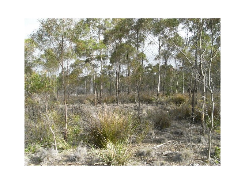 0 Off Wielangta Rd, Orford TAS 7190