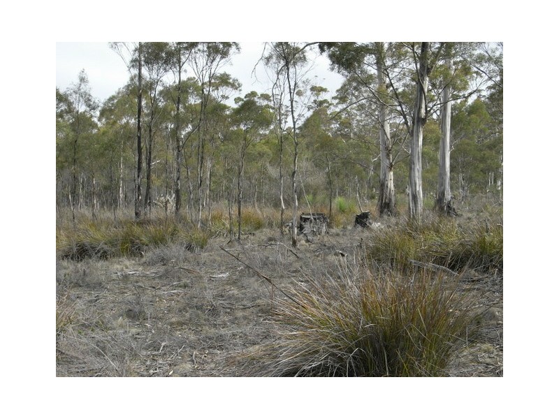 0 Off Wielangta Rd, Orford TAS 7190