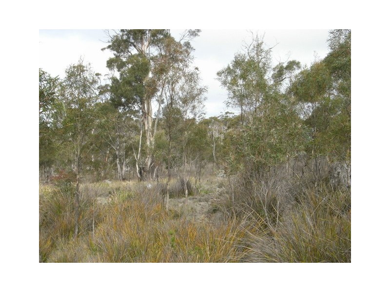 0 Off Wielangta Rd, Orford TAS 7190