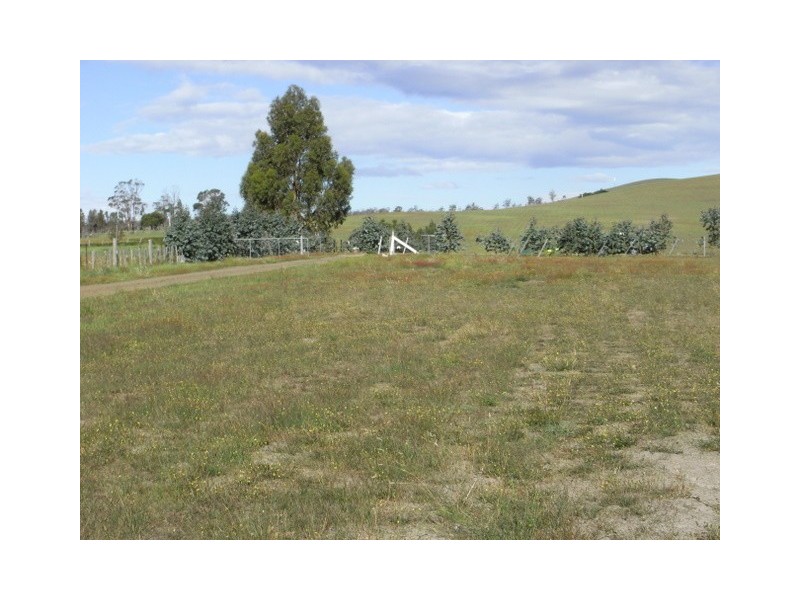 Lot 2 Inkerman Street, Triabunna TAS 7190
