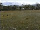 Lot 2 Inkerman Street, Triabunna TAS 7190