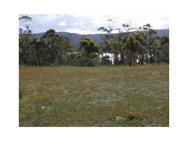 Lot 2 Inkerman Street, Triabunna TAS 7190