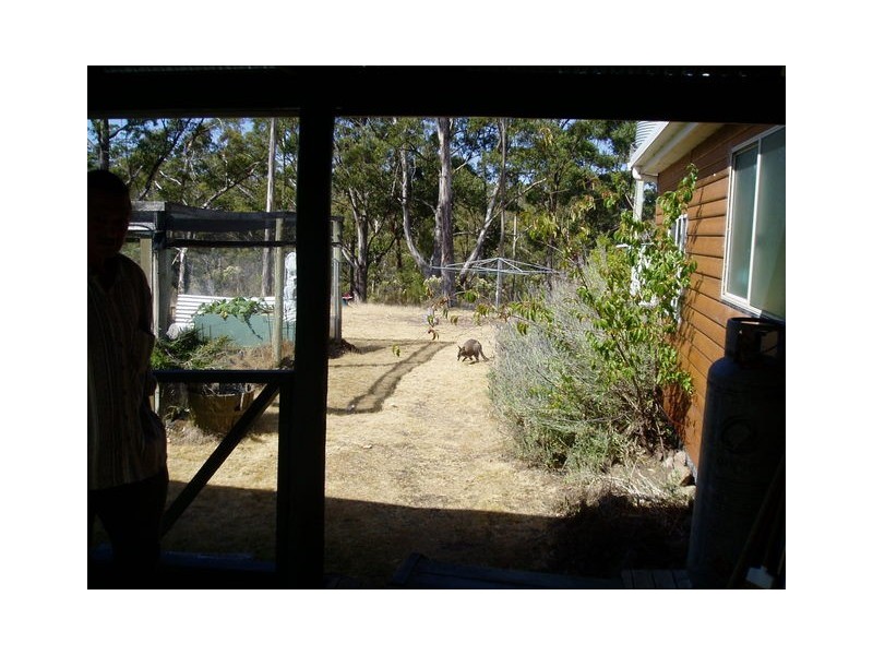 0 Apollo Bay Road, North Bruny, Bruny Island TAS 7150