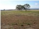 1125 Acton Road, Acton Park TAS 7170