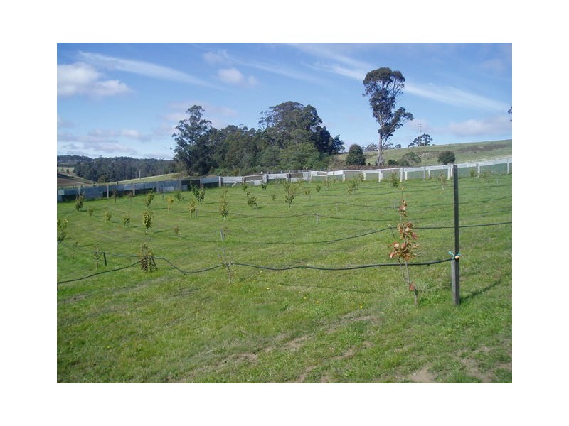 68 Hungry Flats Road, Tunnack TAS 7120