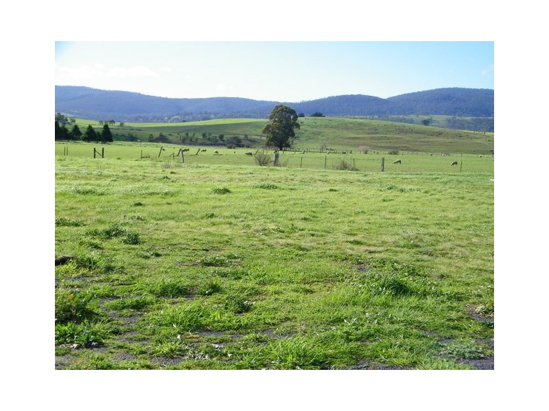 11 Alexander Circle, Campania TAS 7026