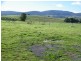 11 Alexander Circle, Campania TAS 7026