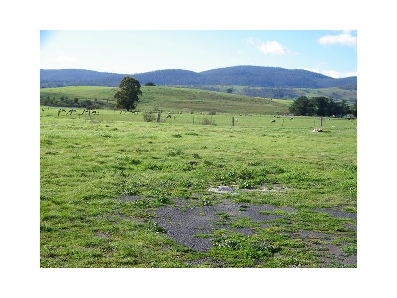 11 Alexander Circle, Campania TAS 7026