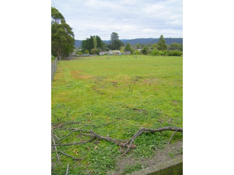 4 Amelia Street, Triabunna TAS 7190
