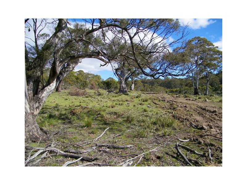 Lot 2 Montgomerey’s Road, Runnymede TAS 7190
