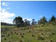 Lot 2 Montgomerey’s Road, Runnymede TAS 7190