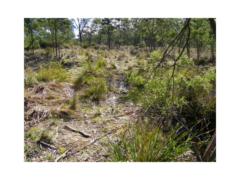 Lot 2 Montgomerey’s Road, Runnymede TAS 7190