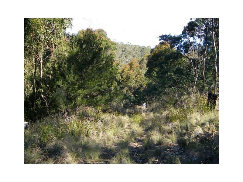 Lot 2 Montgomerey’s Road, Runnymede TAS 7190
