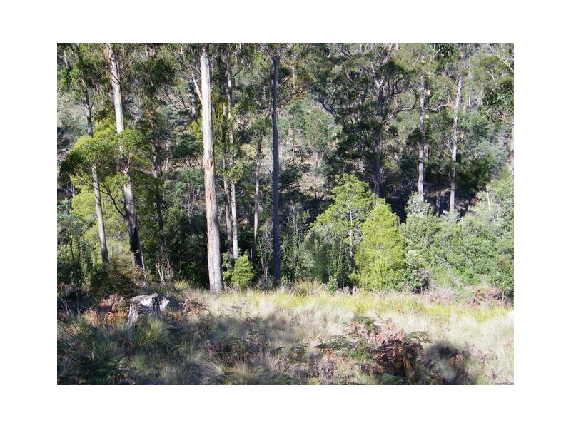 Lot 2 Montgomerey’s Road, Runnymede TAS 7190