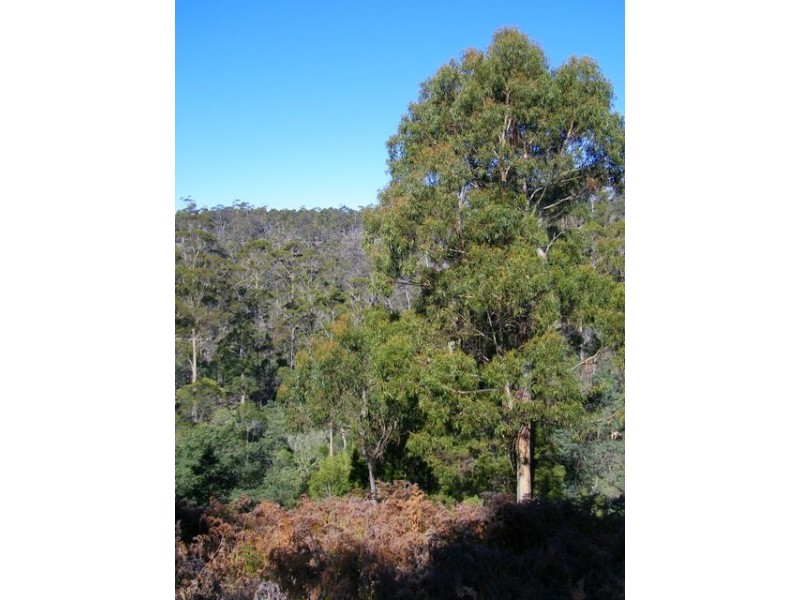 Lot 2 Montgomerey’s Road, Runnymede TAS 7190