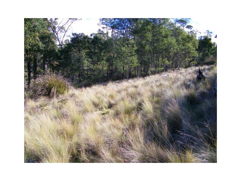 Lot 2 Montgomerey’s Road, Runnymede TAS 7190