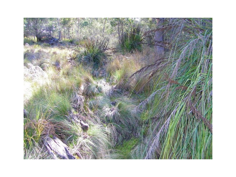 Lot 2 Montgomerey’s Road, Runnymede TAS 7190