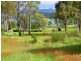 77 Inkerman Street, Triabunna TAS 7190