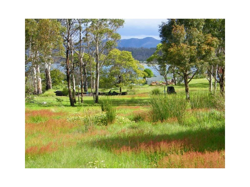 77 Inkerman Street, Triabunna TAS 7190