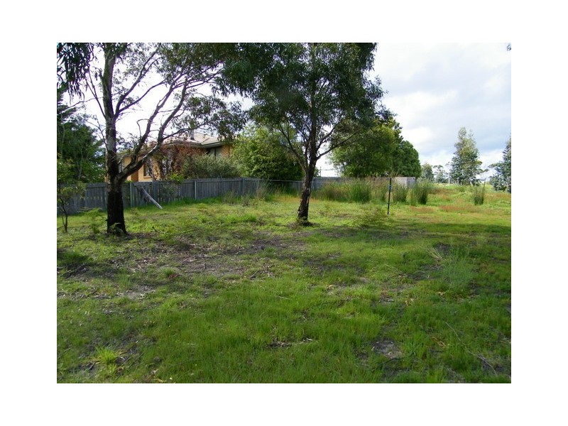 77 Inkerman Street, Triabunna TAS 7190