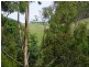 242 Springhill Bottom Road, Colebrook TAS 7027