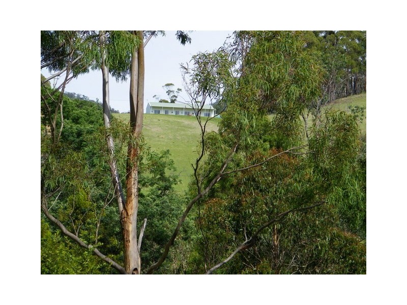 242 Springhill Bottom Road, Colebrook TAS 7027