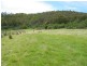 242 Springhill Bottom Road, Colebrook TAS 7027