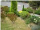 19 Haven Court, Rosny TAS 7018