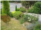 19 Haven Court, Rosny TAS 7018