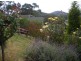 19 Haven Court, Rosny TAS 7018