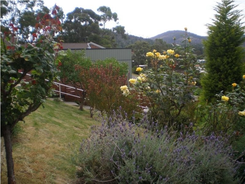 19 Haven Court, Rosny TAS 7018