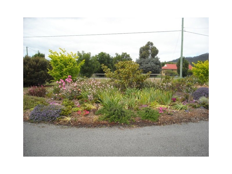 49 Shelomith Drive, Acton Park TAS 7170