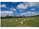 12 Spencer Street, Triabunna TAS 7190