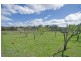 12 Spencer Street, Triabunna TAS 7190