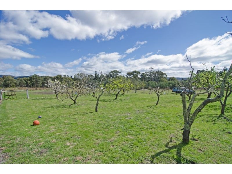 12 Spencer Street, Triabunna TAS 7190