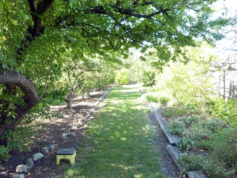 27 Backhouse Lane, Cambridge TAS 7170