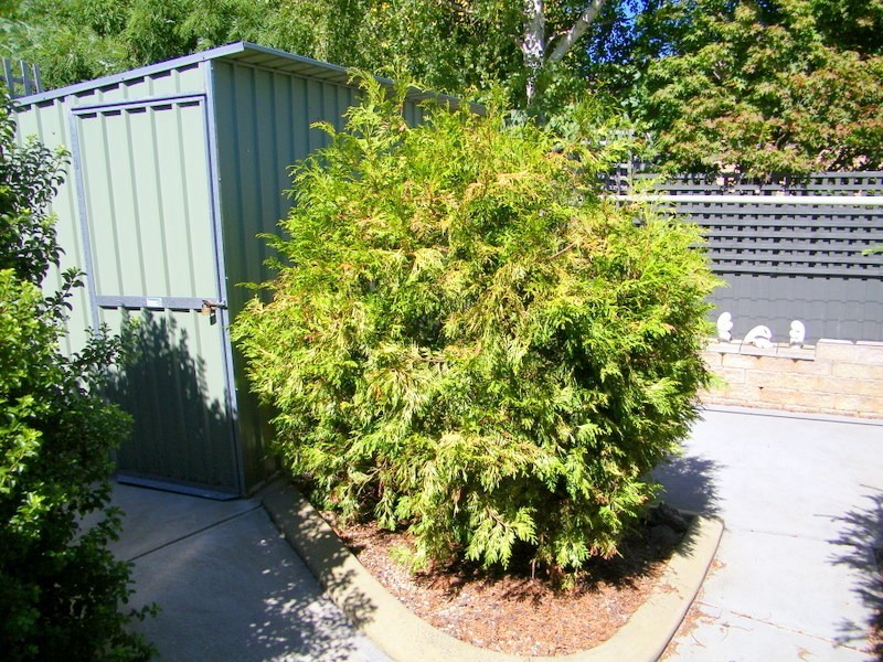 2/20 Minno Court, Howrah TAS 7018