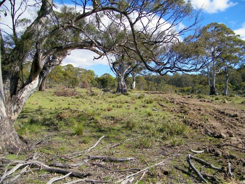 RA188 Montgomery’s Road, Buckland TAS 7190