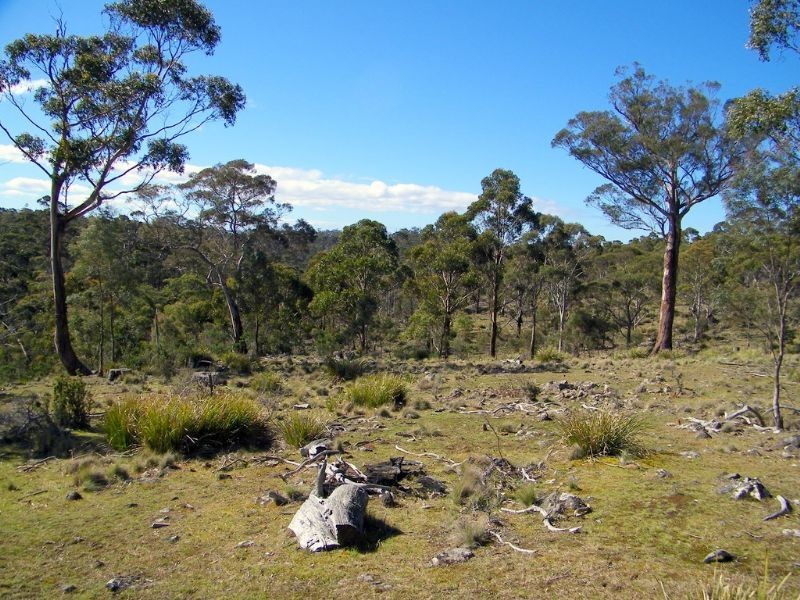 RA188 Montgomery’s Road, Buckland TAS 7190