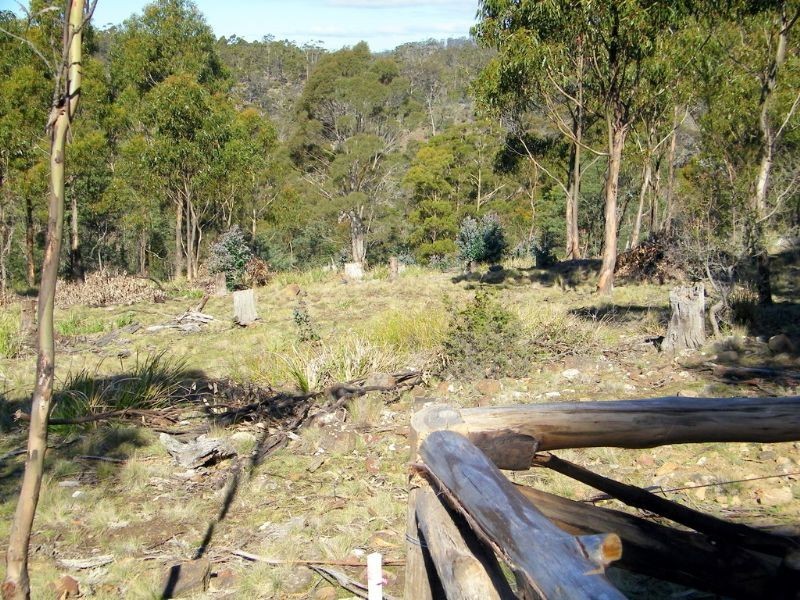 RA188 Montgomery’s Road, Buckland TAS 7190