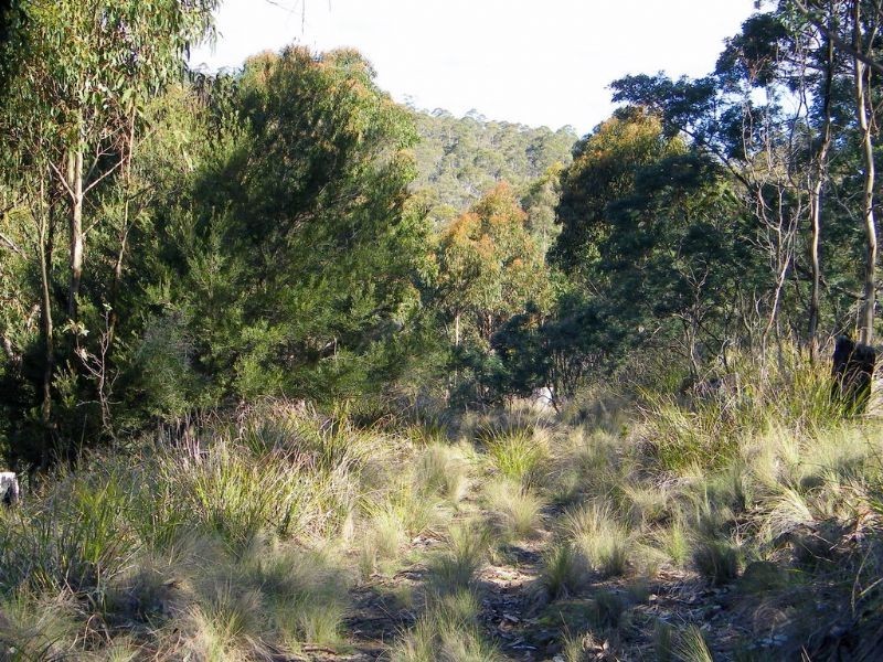 RA188 Montgomery’s Road, Buckland TAS 7190