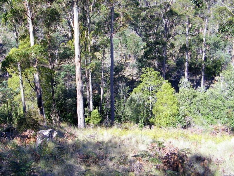 RA188 Montgomery’s Road, Buckland TAS 7190