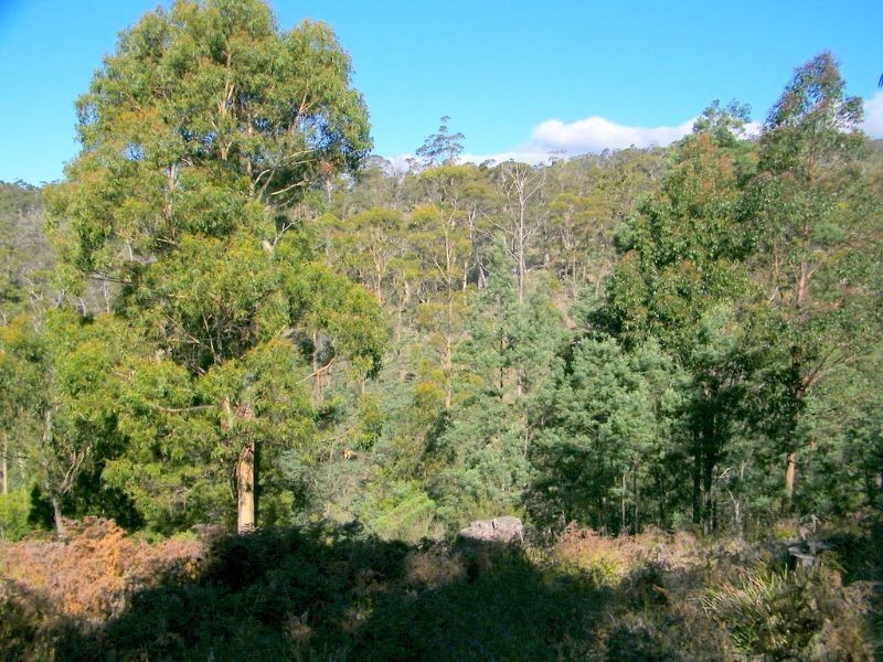 RA188 Montgomery’s Road, Buckland TAS 7190