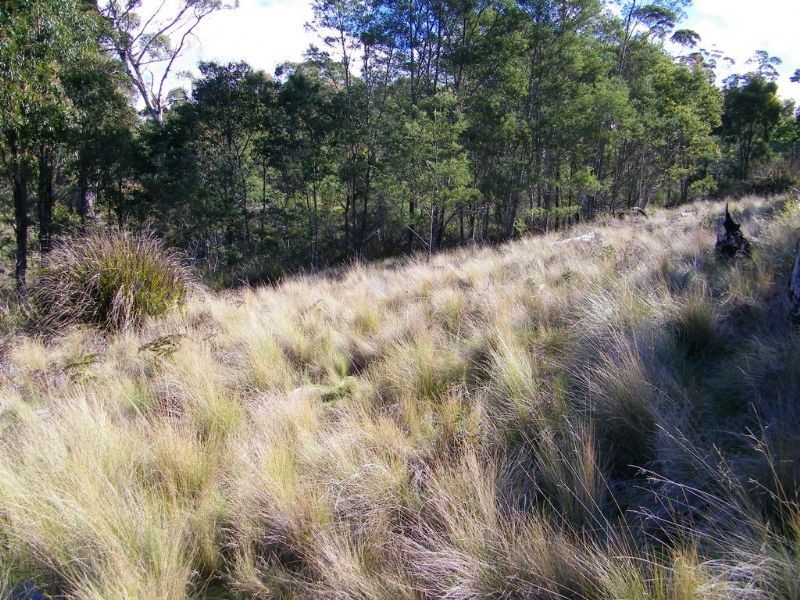 RA188 Montgomery’s Road, Buckland TAS 7190