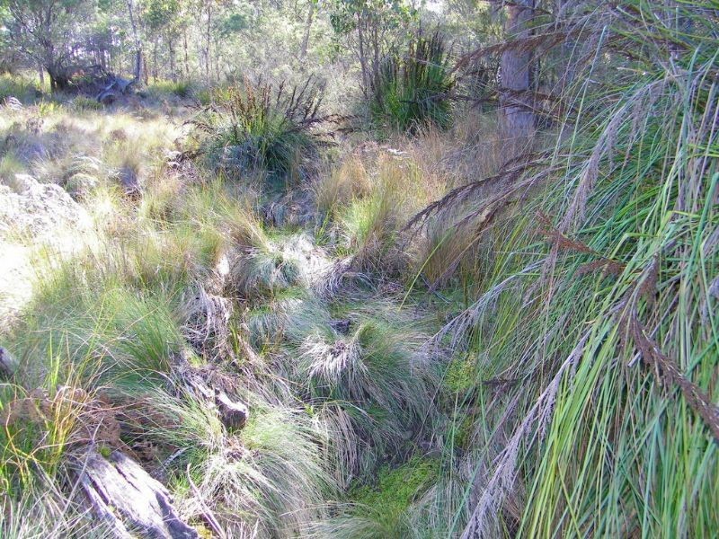 RA188 Montgomery’s Road, Buckland TAS 7190