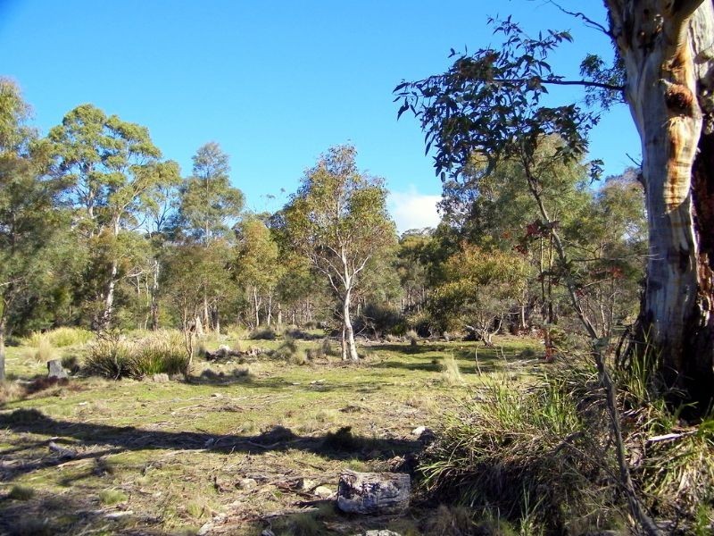 RA188 Montgomery’s Road, Buckland TAS 7190