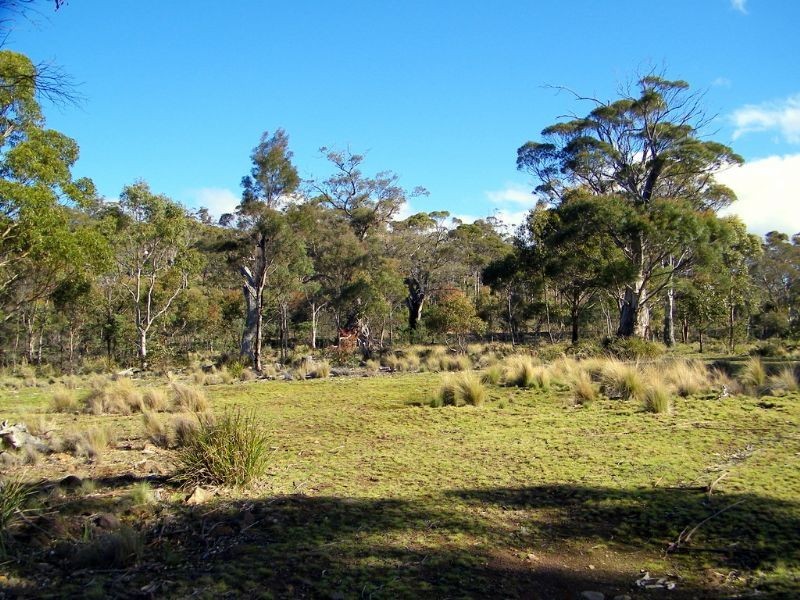 RA188 Montgomery’s Road, Buckland TAS 7190