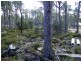 Great Lakes, Miena TAS 7030
