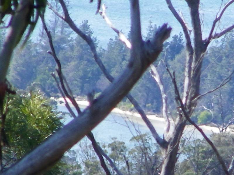 7308 Tasman Highway, Orford TAS 7190