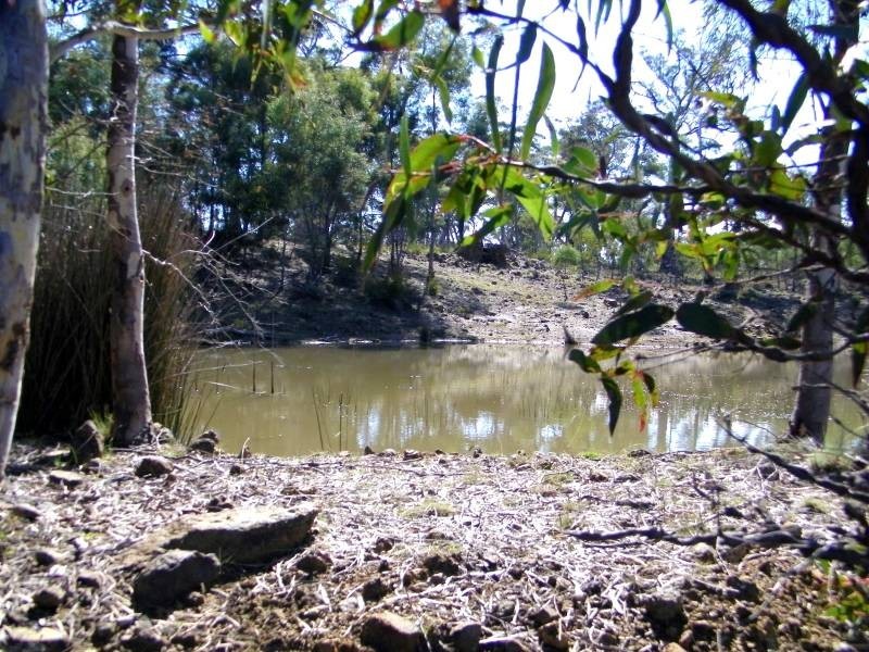 7308 Tasman Highway, Orford TAS 7190